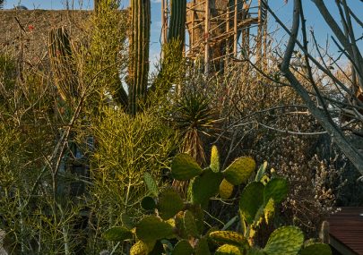 December in El Perdido